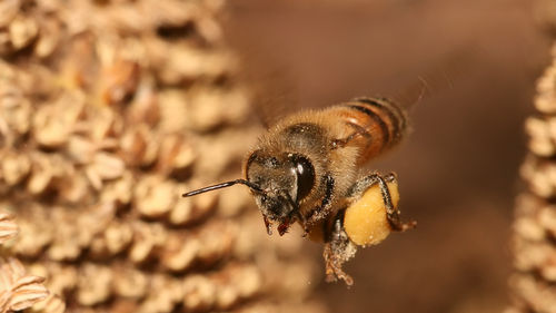 The History of Chemicals Against Nature