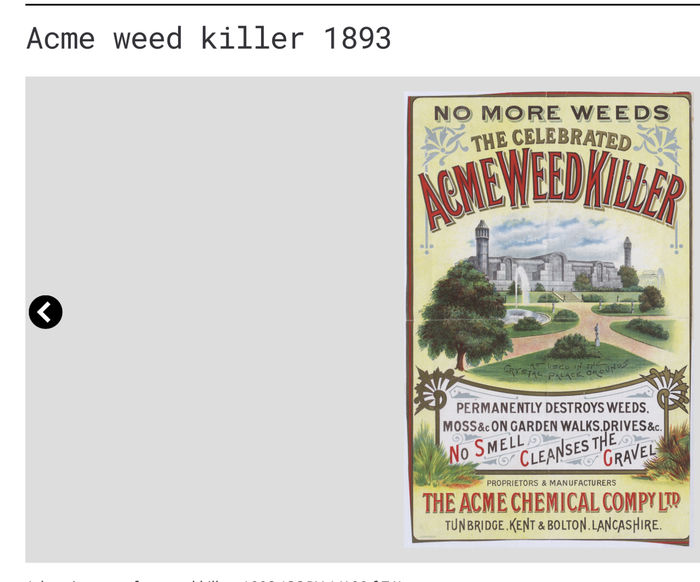 timeline cover