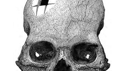 History of Neuroscience