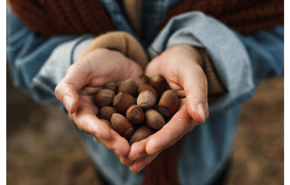 hazelnuts