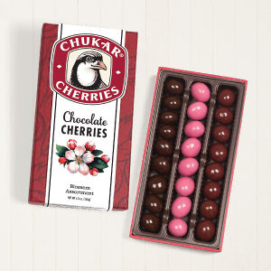 Chocolate Cherry Blossom Assortment Gift Box