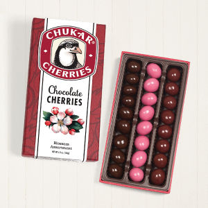 Dark Chocolate Covered Dried Montmorency Cherries 120 g – Cherry Lane Canada