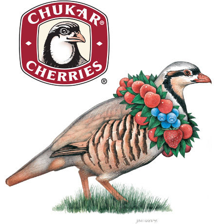 Chukar Bird and Logo