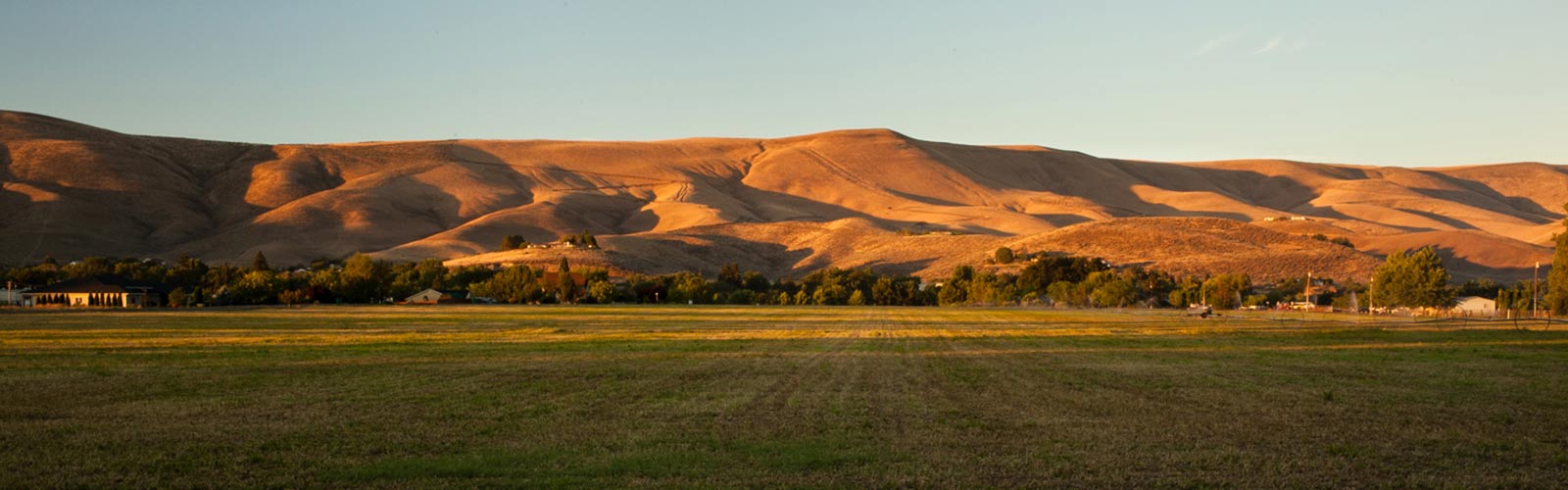 Prosser Hills Landscape