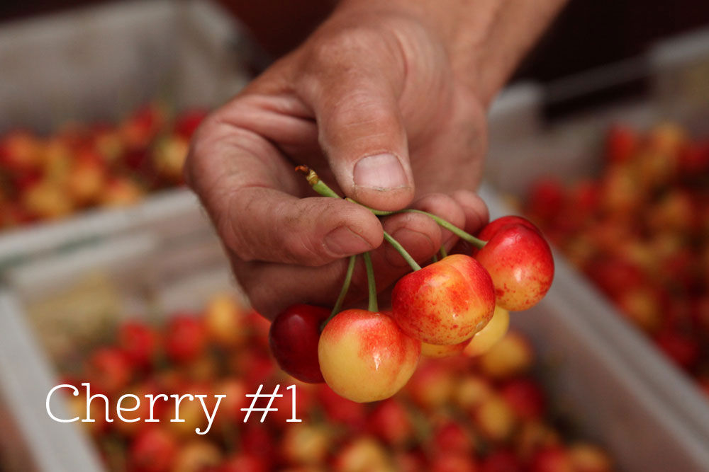 Rainier Cherries