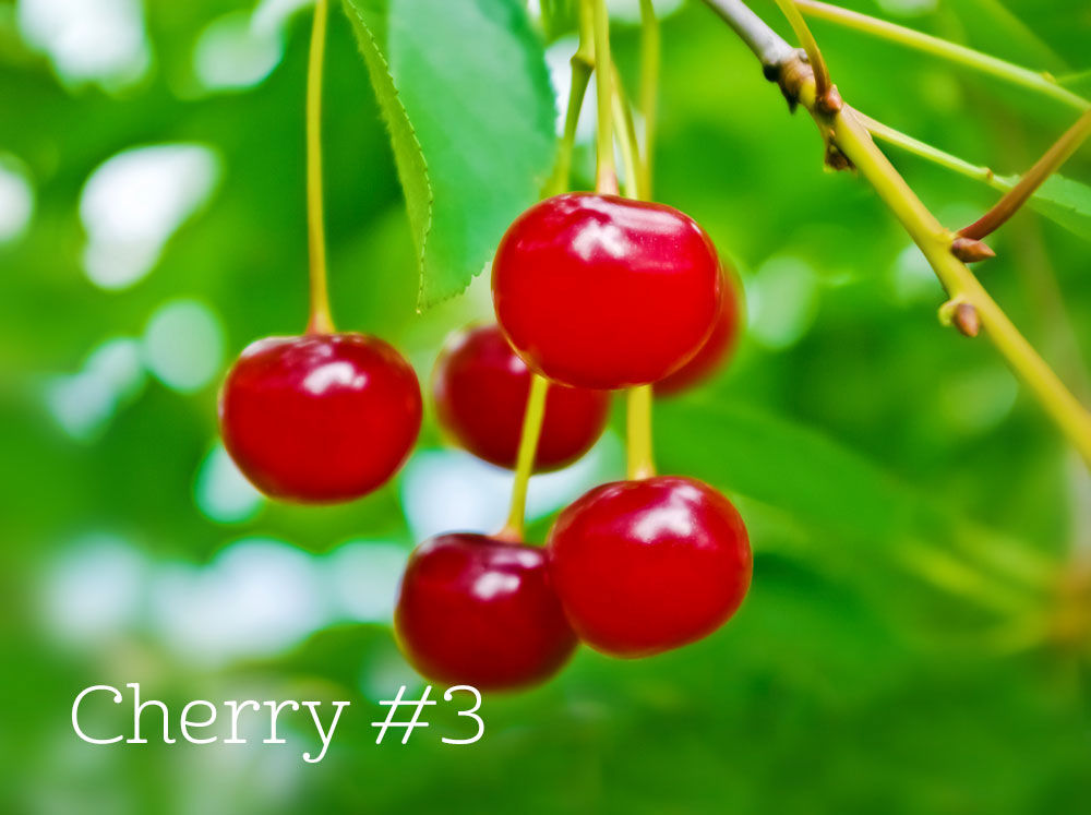 Tart Cherries