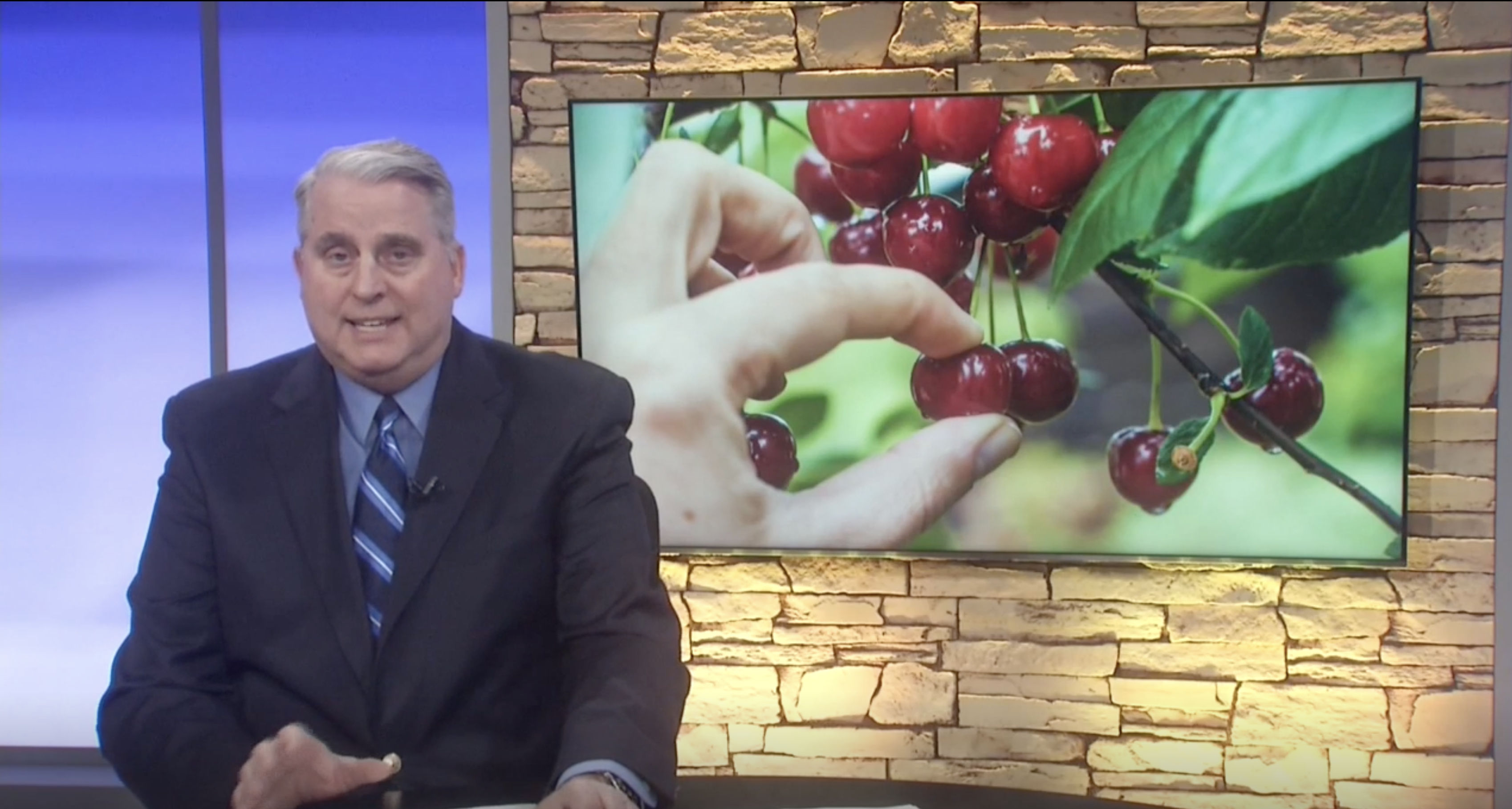 cherries news