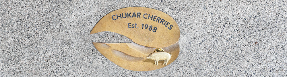 gold hoof print with Chukar Cherries Est. 1988 inscription and Pike Place pig mascot installed in cement