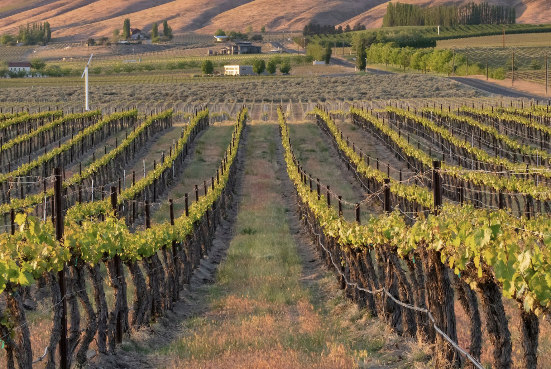 Top 10 Things to Do in Prosser, WA