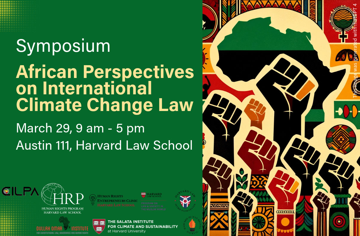 African Perspectives On International Climate Change Law
