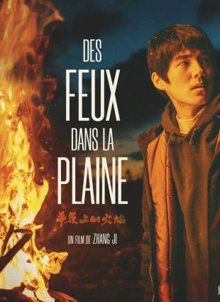 Des Feux dans la Plaine