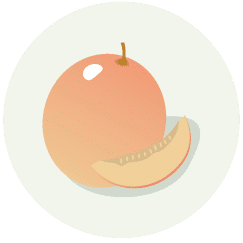 Muskmelon