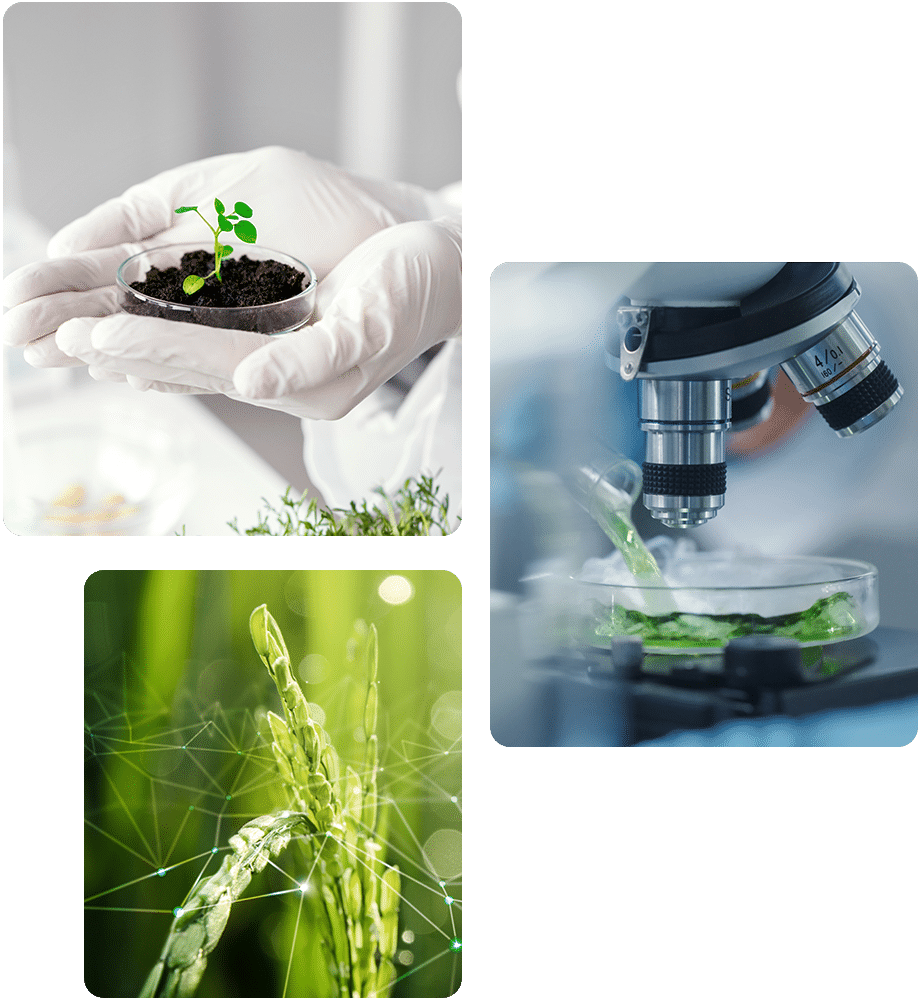 plant-growth-promoters | Trishul Biotech