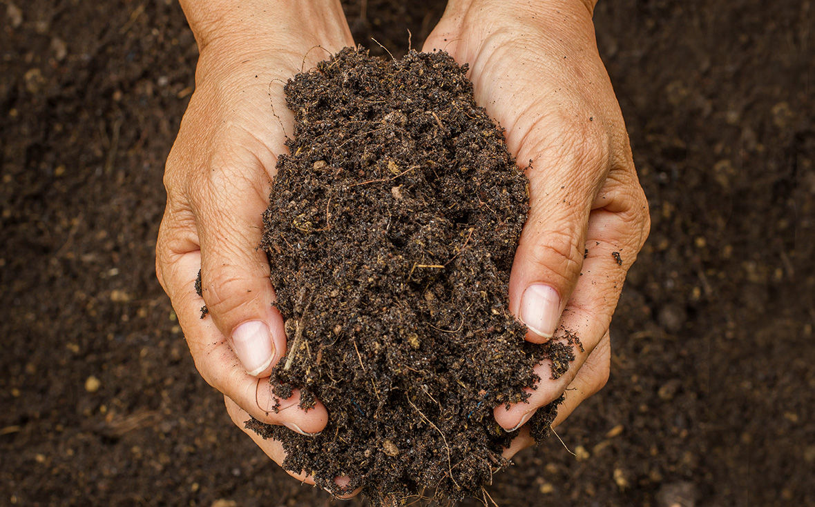 soil health