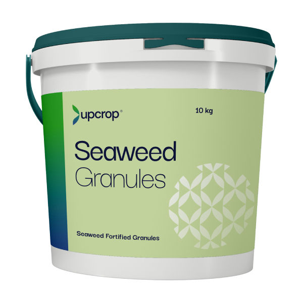 upcrop seaweed extract powder