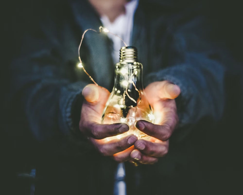 Driven by ROI, Not Egos