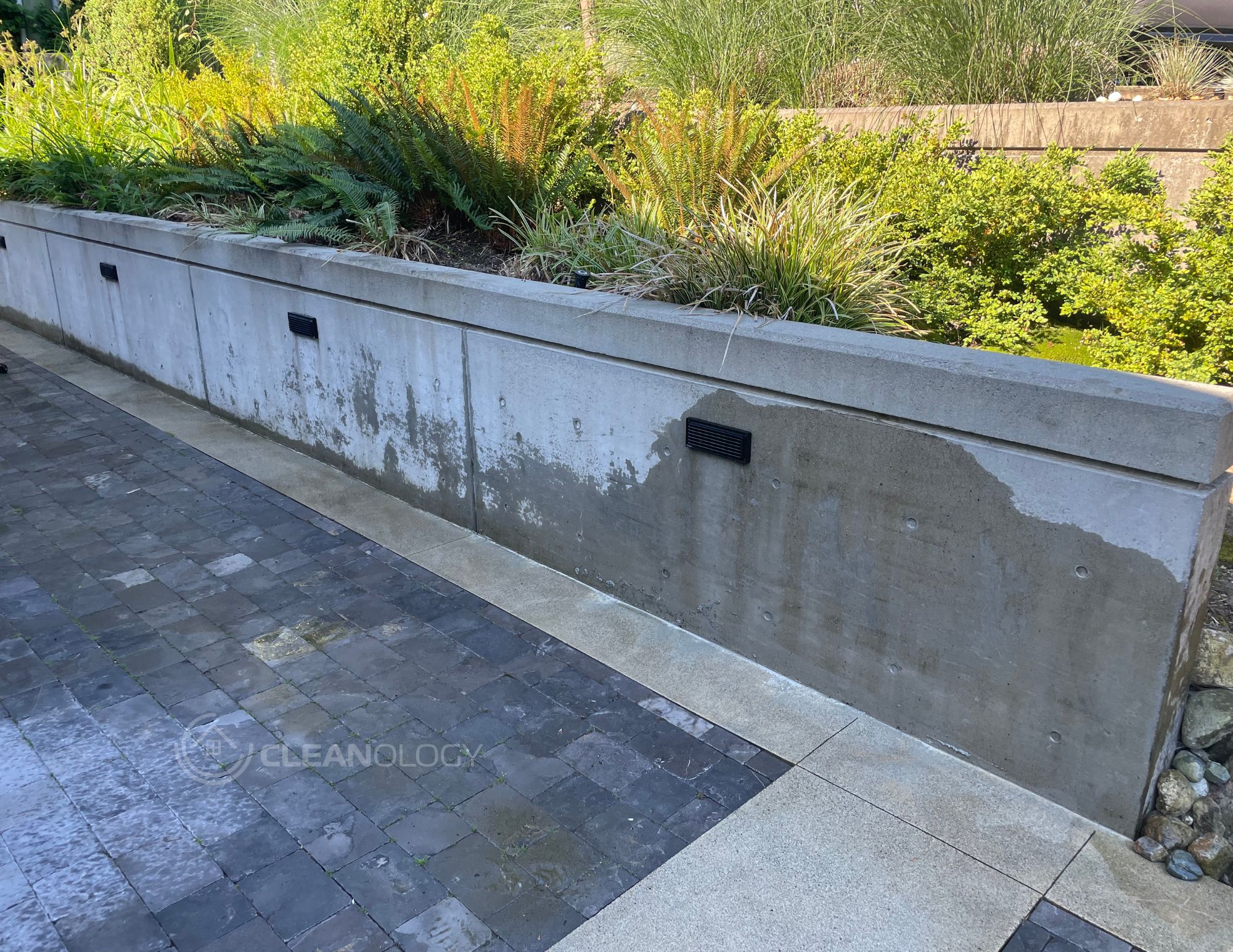 Before Pictures – image 8