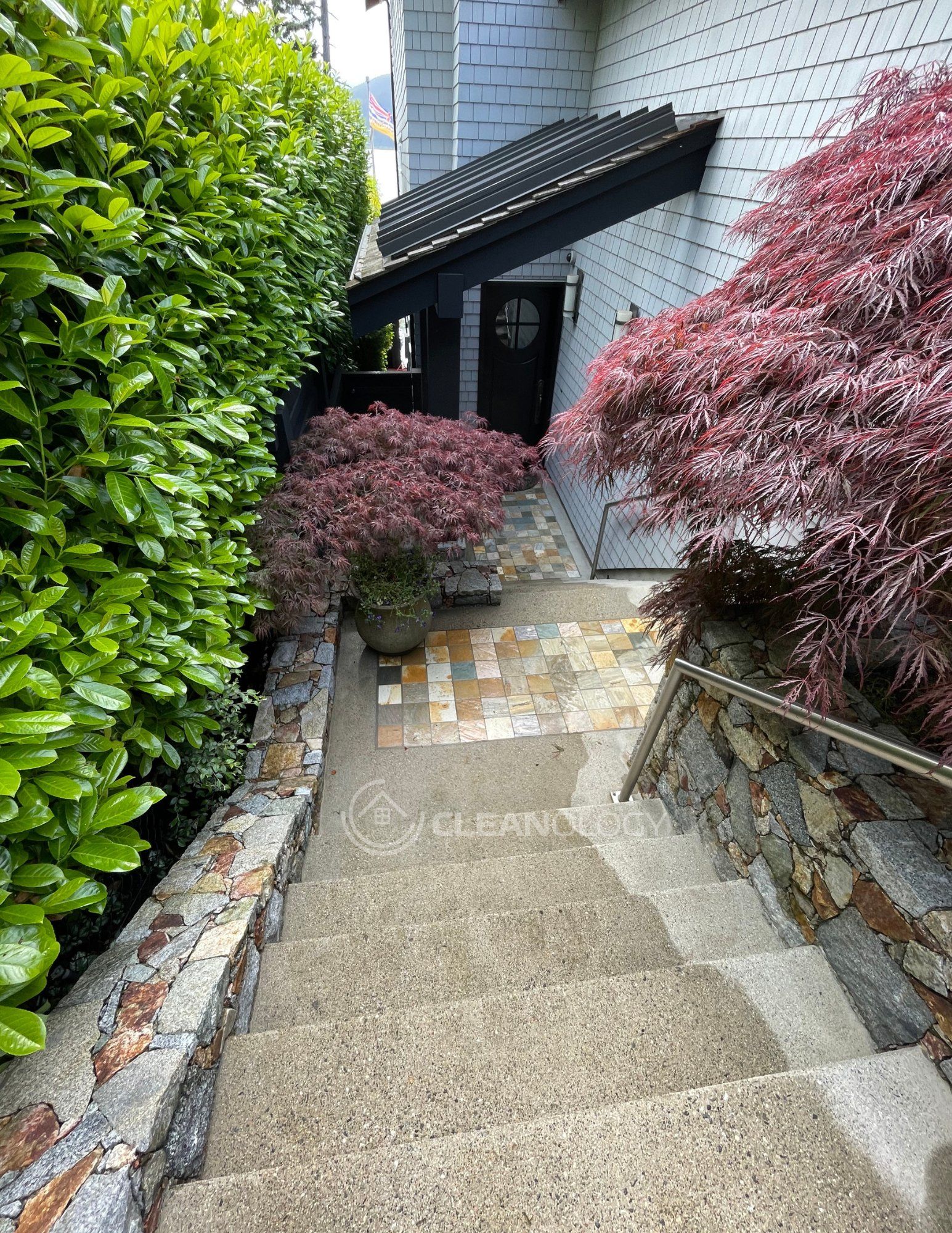 Before - After Pictures – image 18