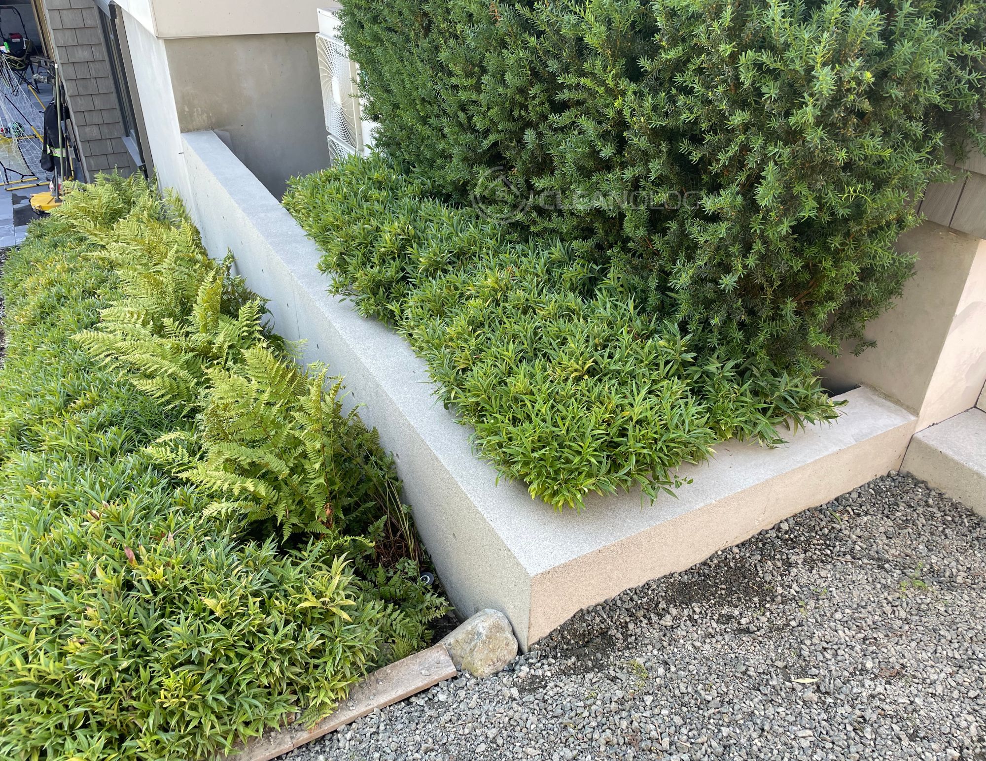 After Pictures – image 41