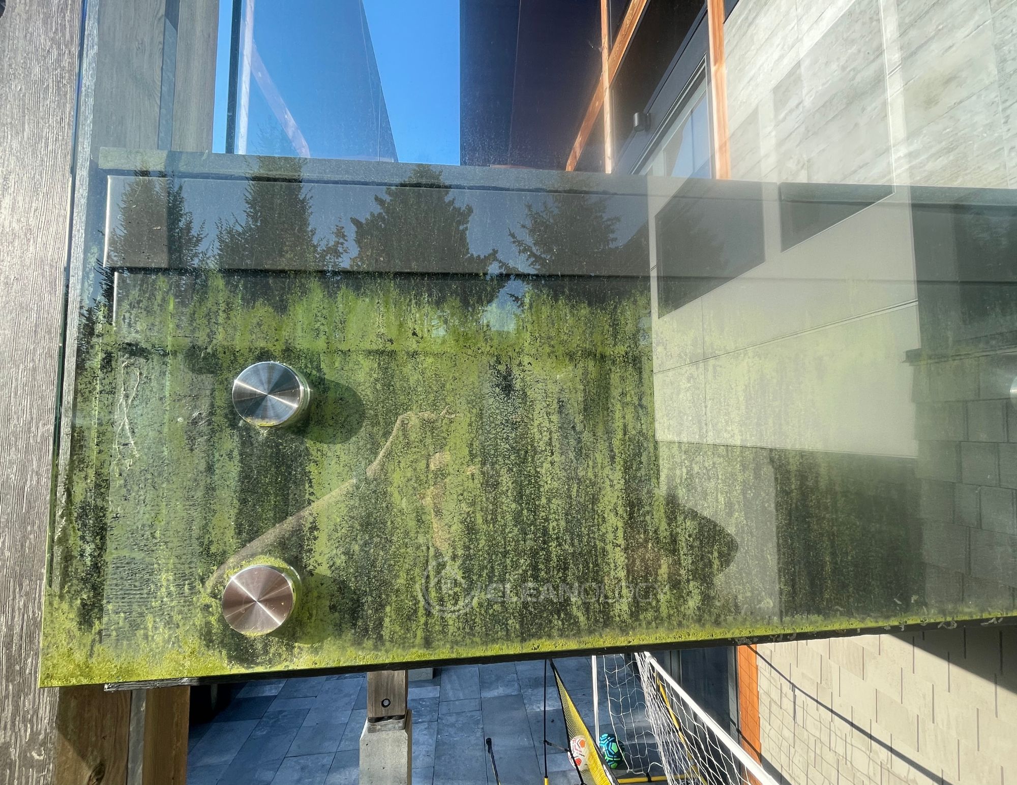 Before Pictures – image 28