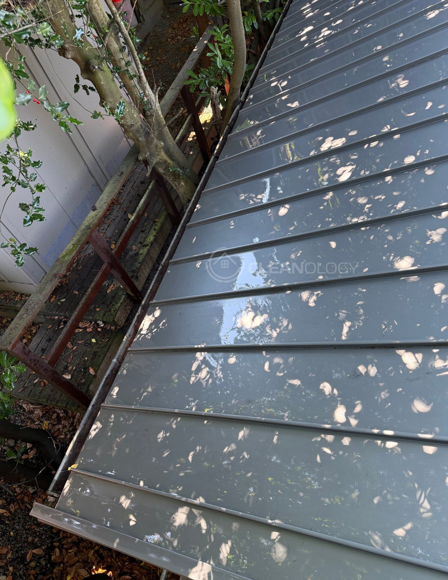 Before Pictures – image 25