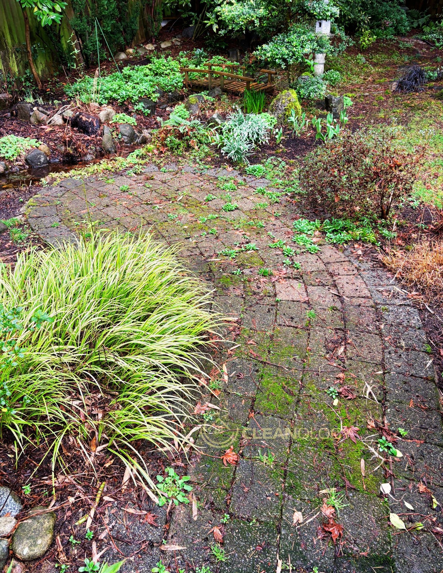 Before - After Pictures – image 15