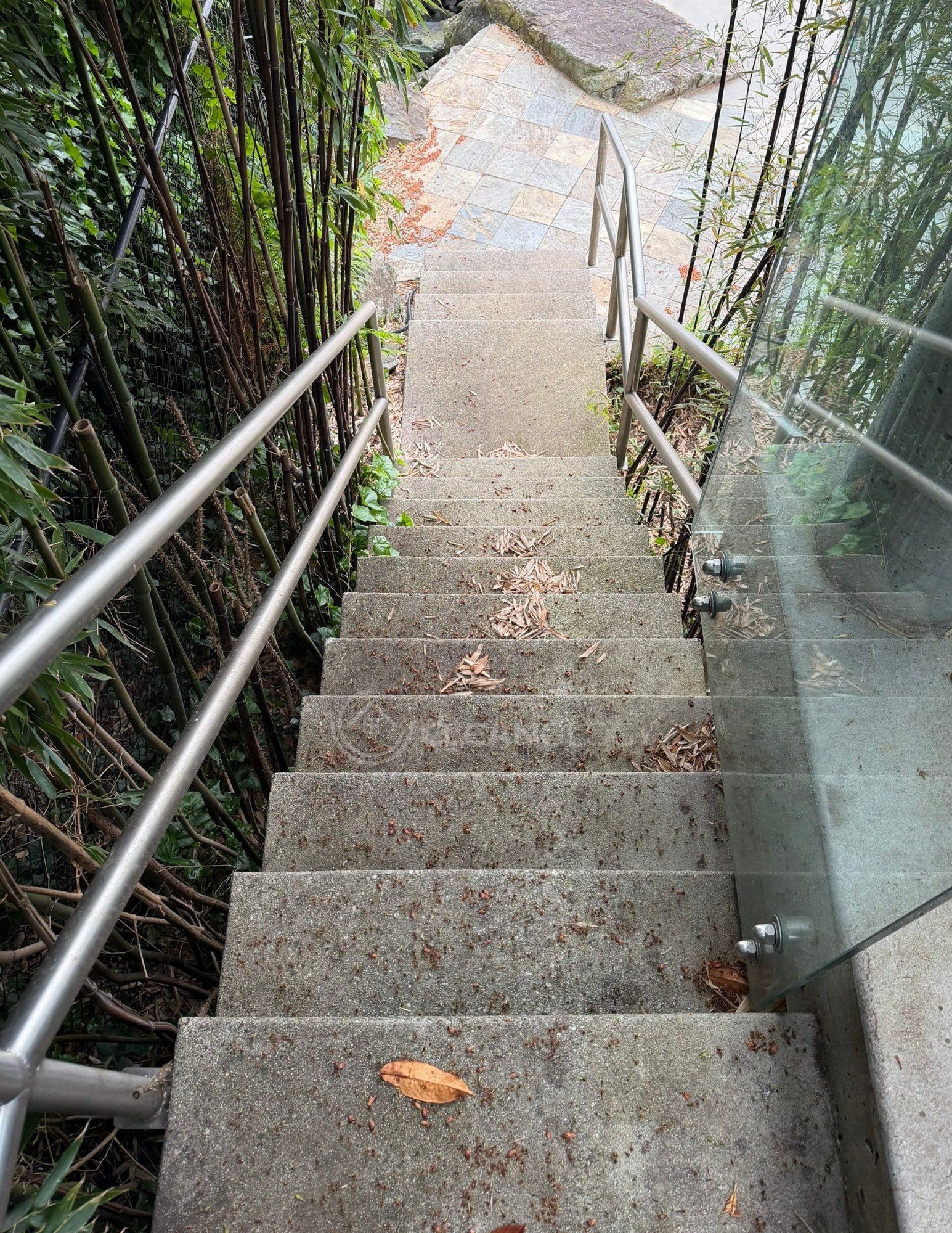 Before - After Pictures – image 7