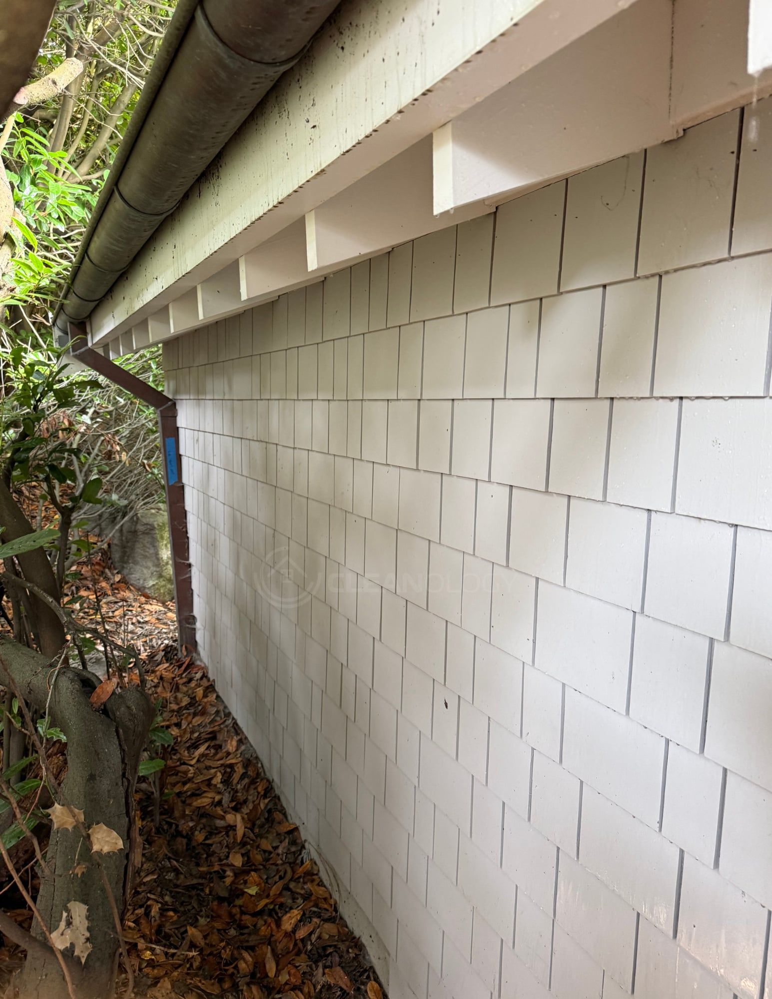Before Pictures – image 31