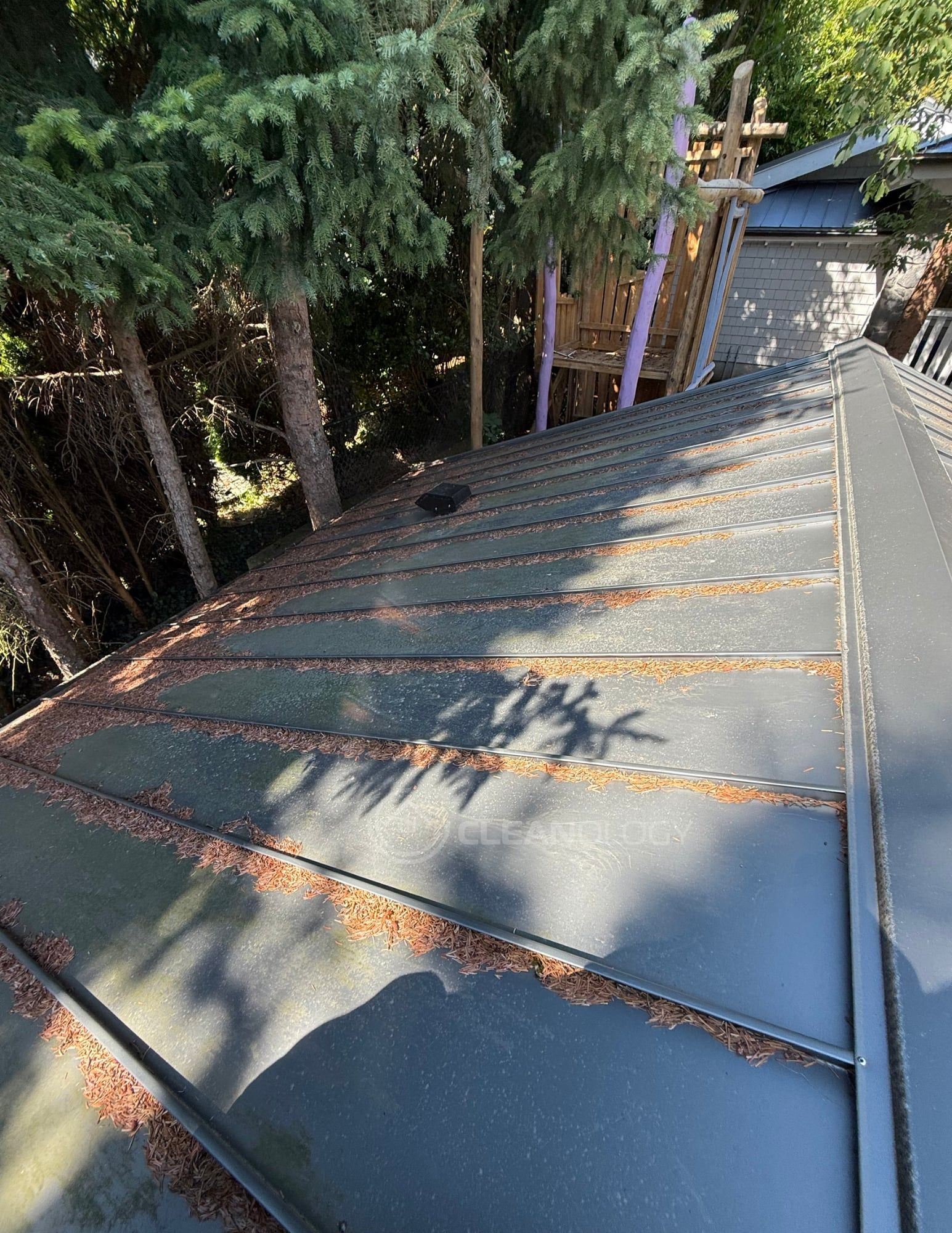 Before Pictures – image 26