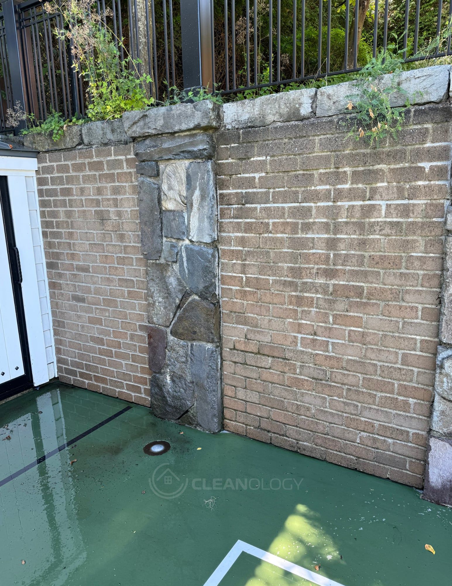 Before Pictures – image 47