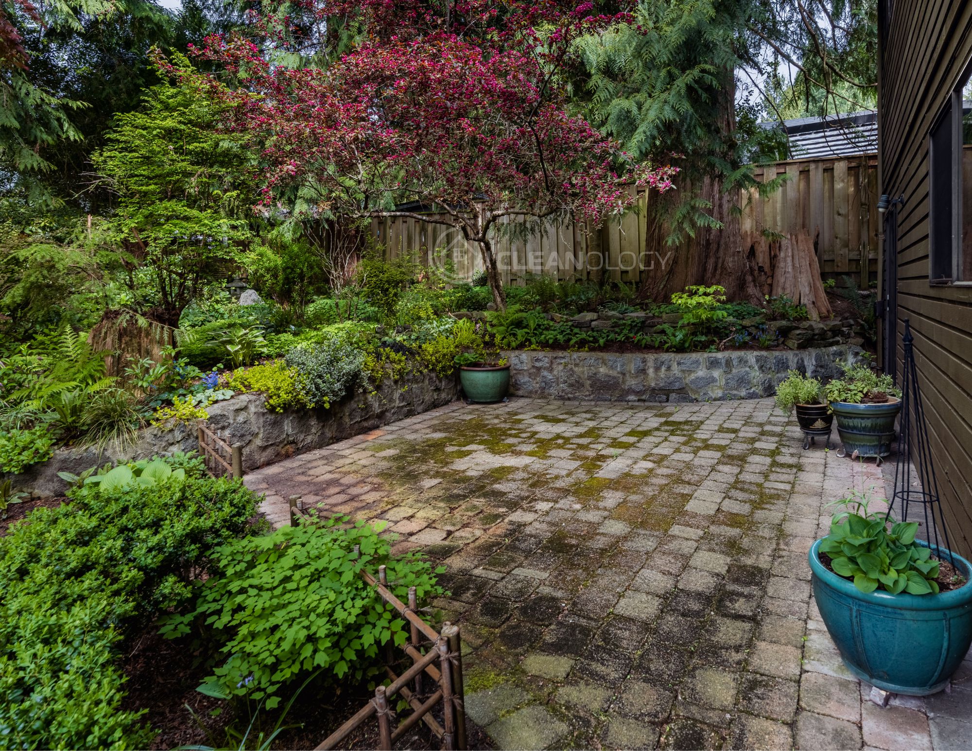 Before - After Pictures – image 9