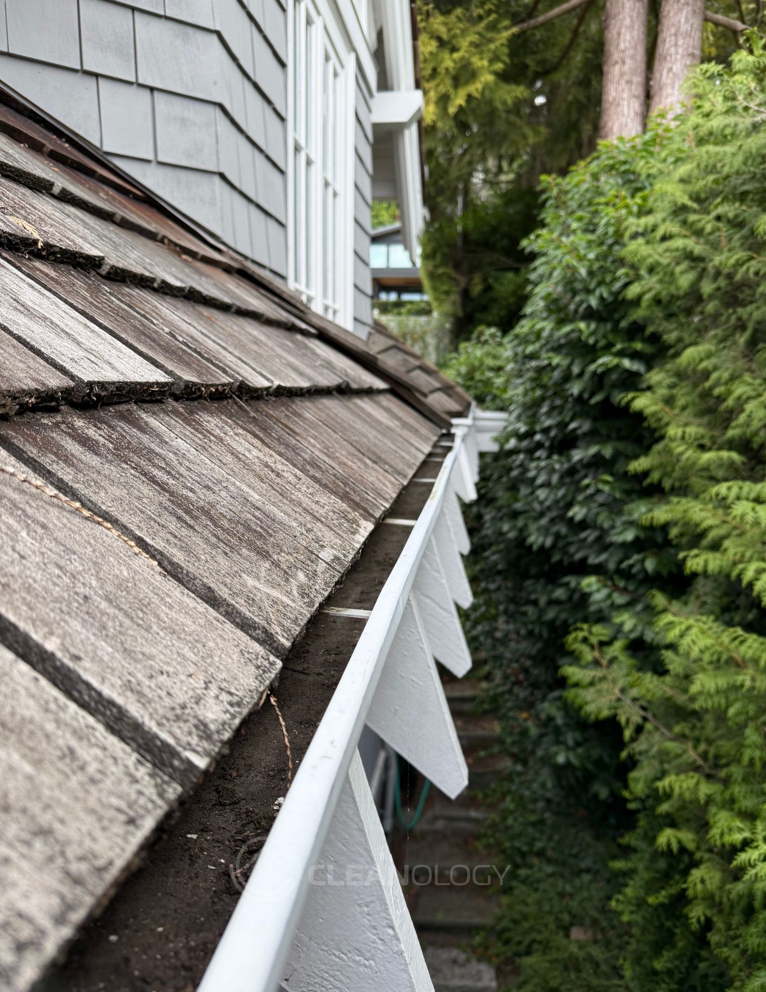 Before-After Pictures – image 8