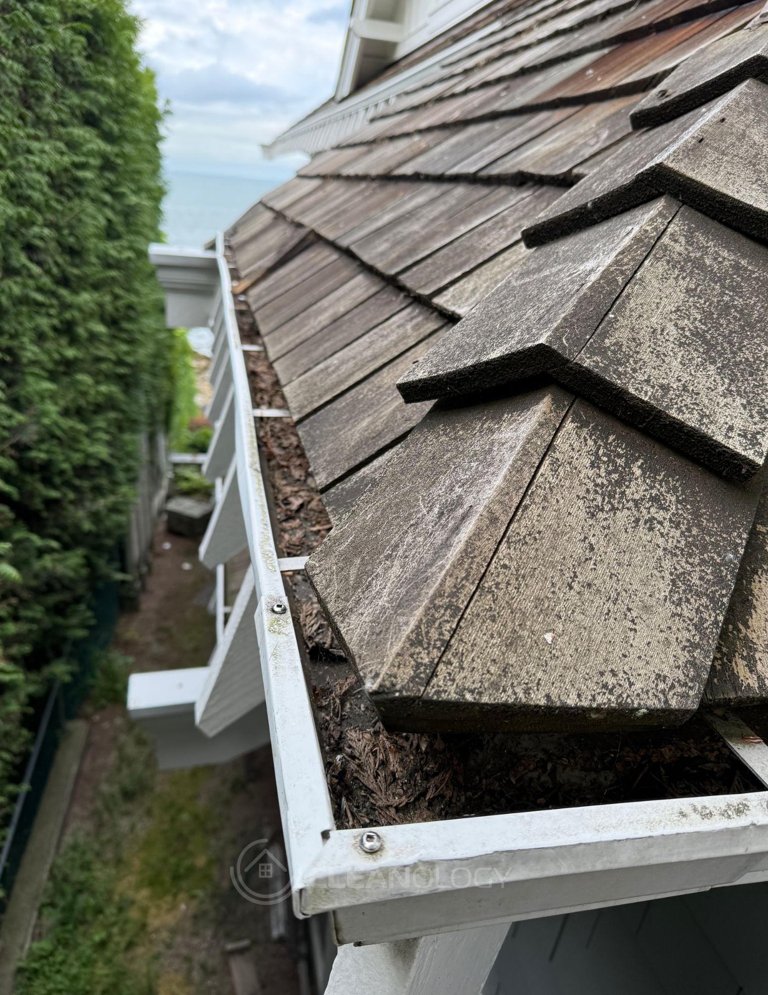 Before-After Pictures – image 7