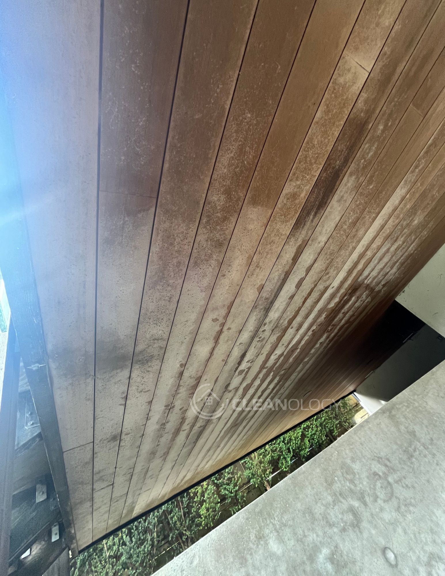 Before Pictures – image 21