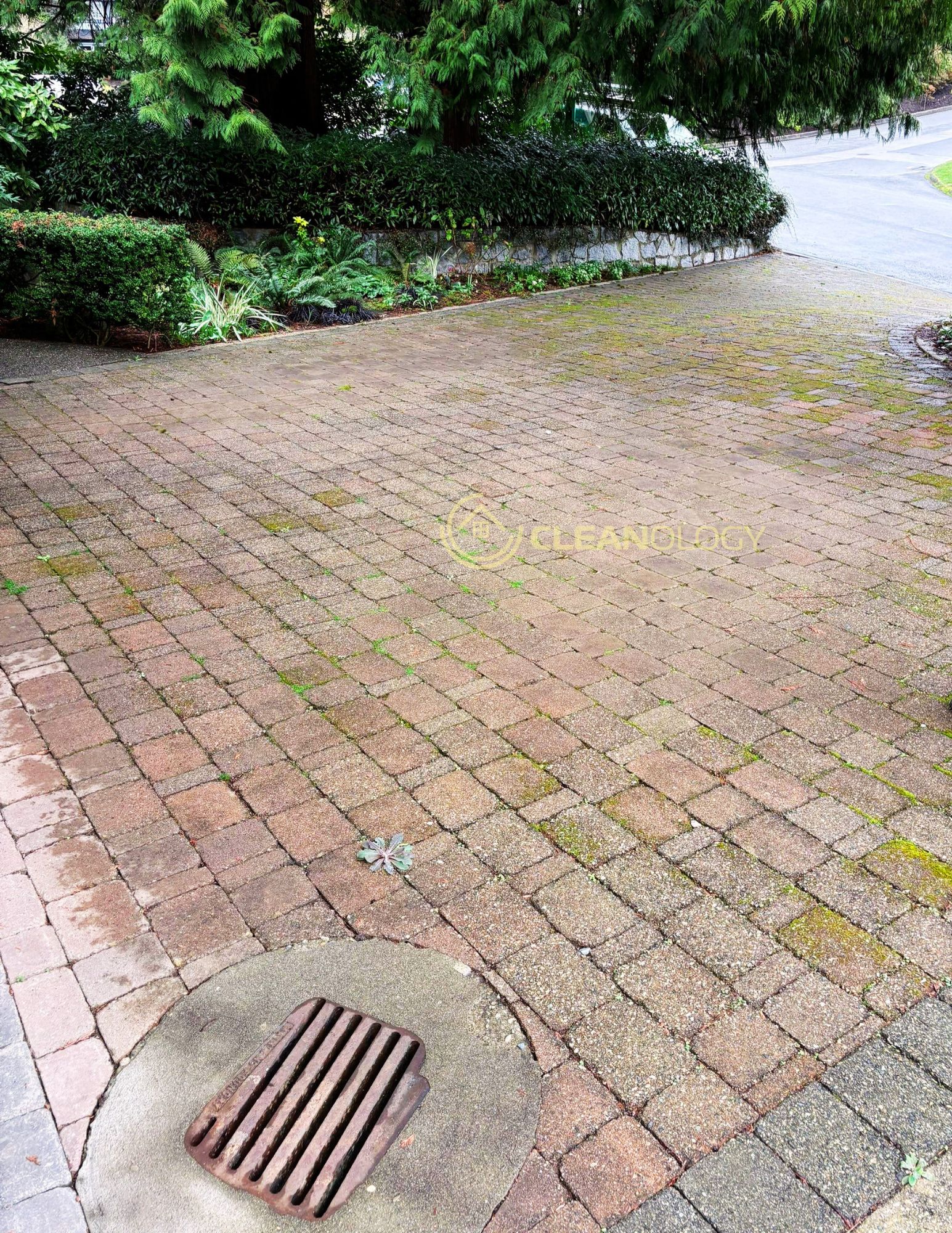 Before - After Pictures – image 19