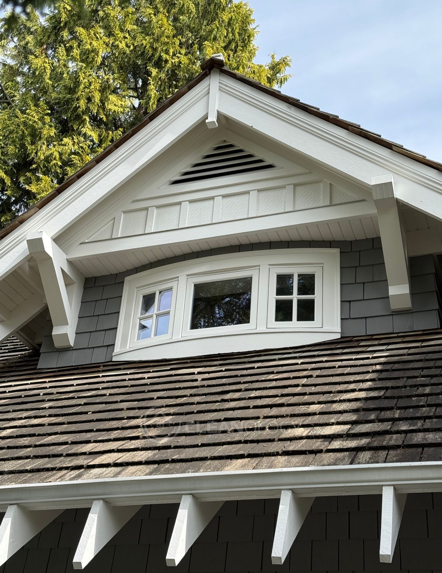 Before-After Pictures – image 6