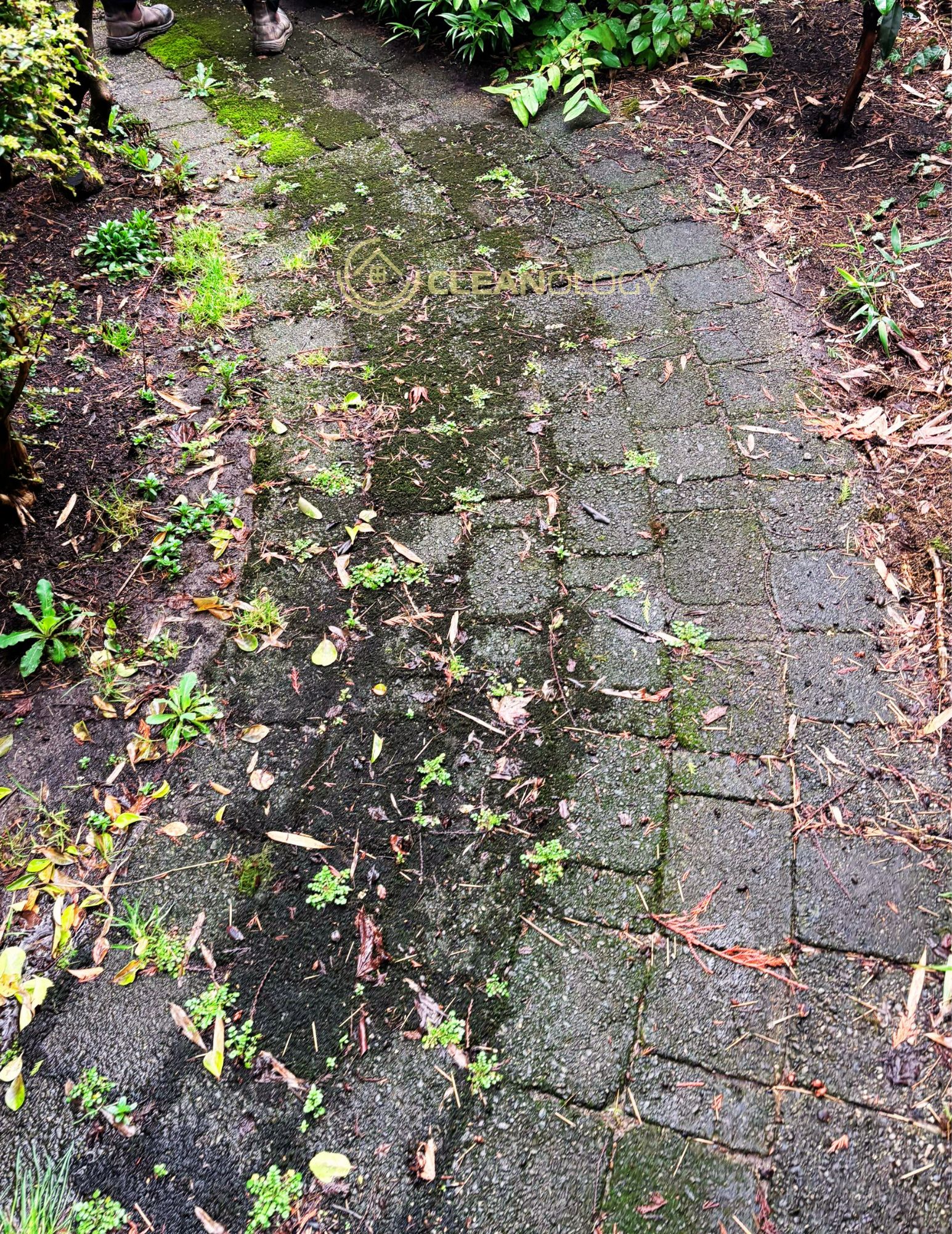 Before - After Pictures – image 17