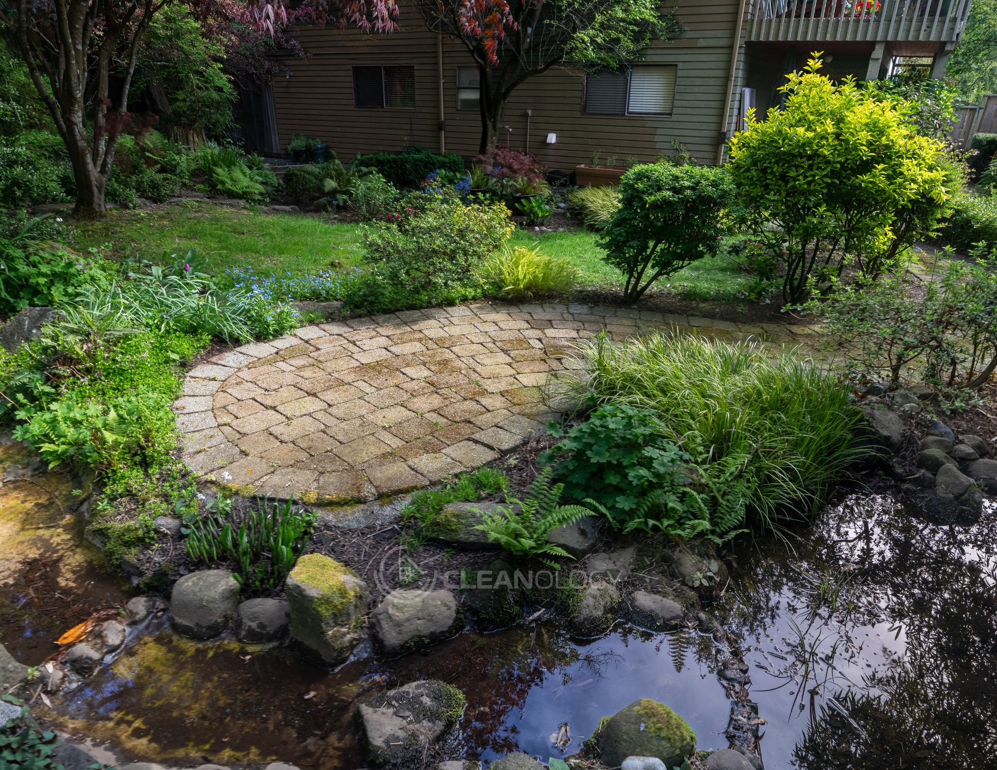 Before - After Pictures – image 7