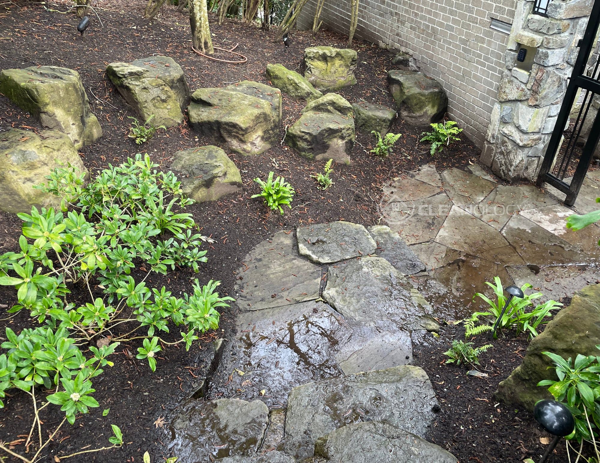 Before Pictures – image 14