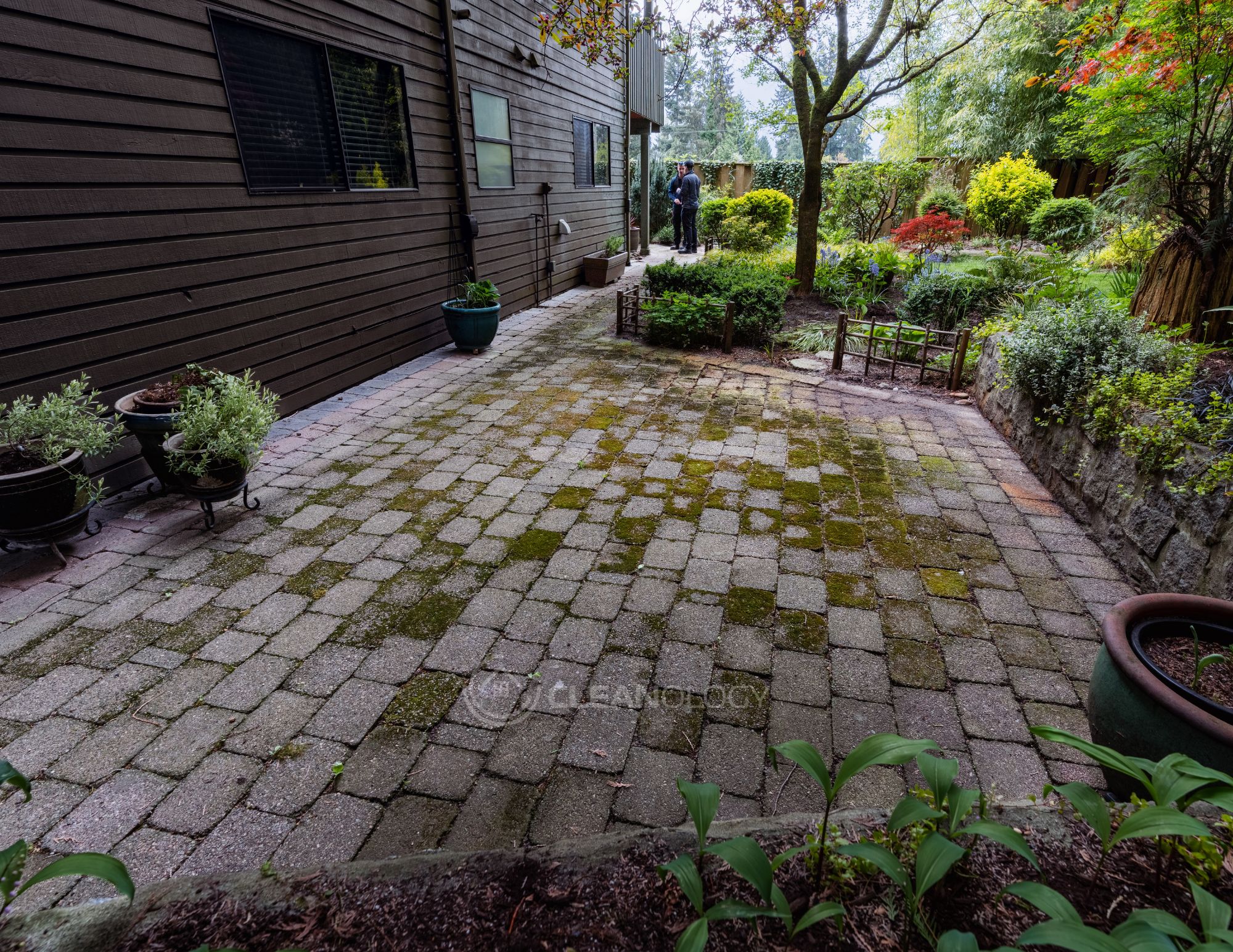 Before - After Pictures – image 5