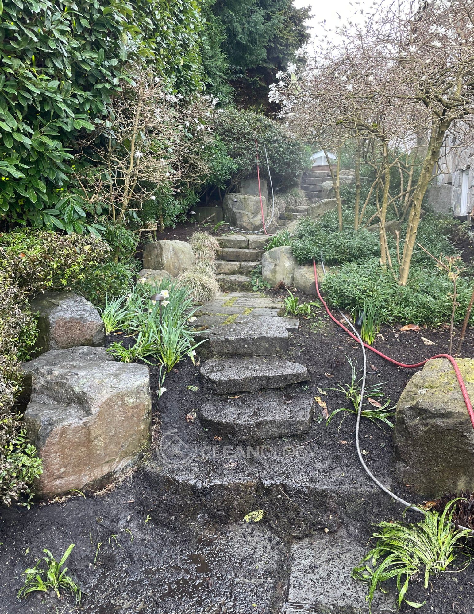 Before Pictures – image 13