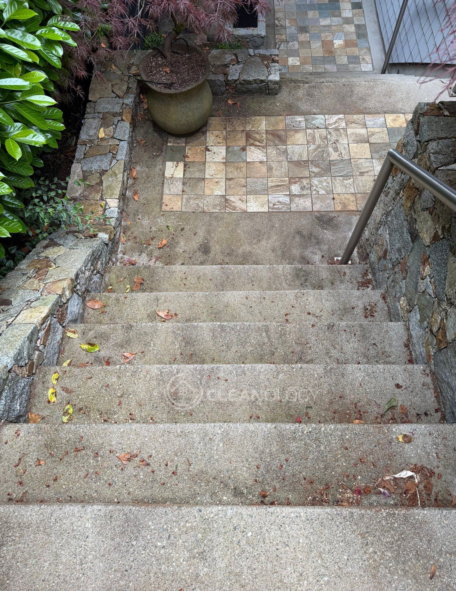 Before - After Pictures – image 17