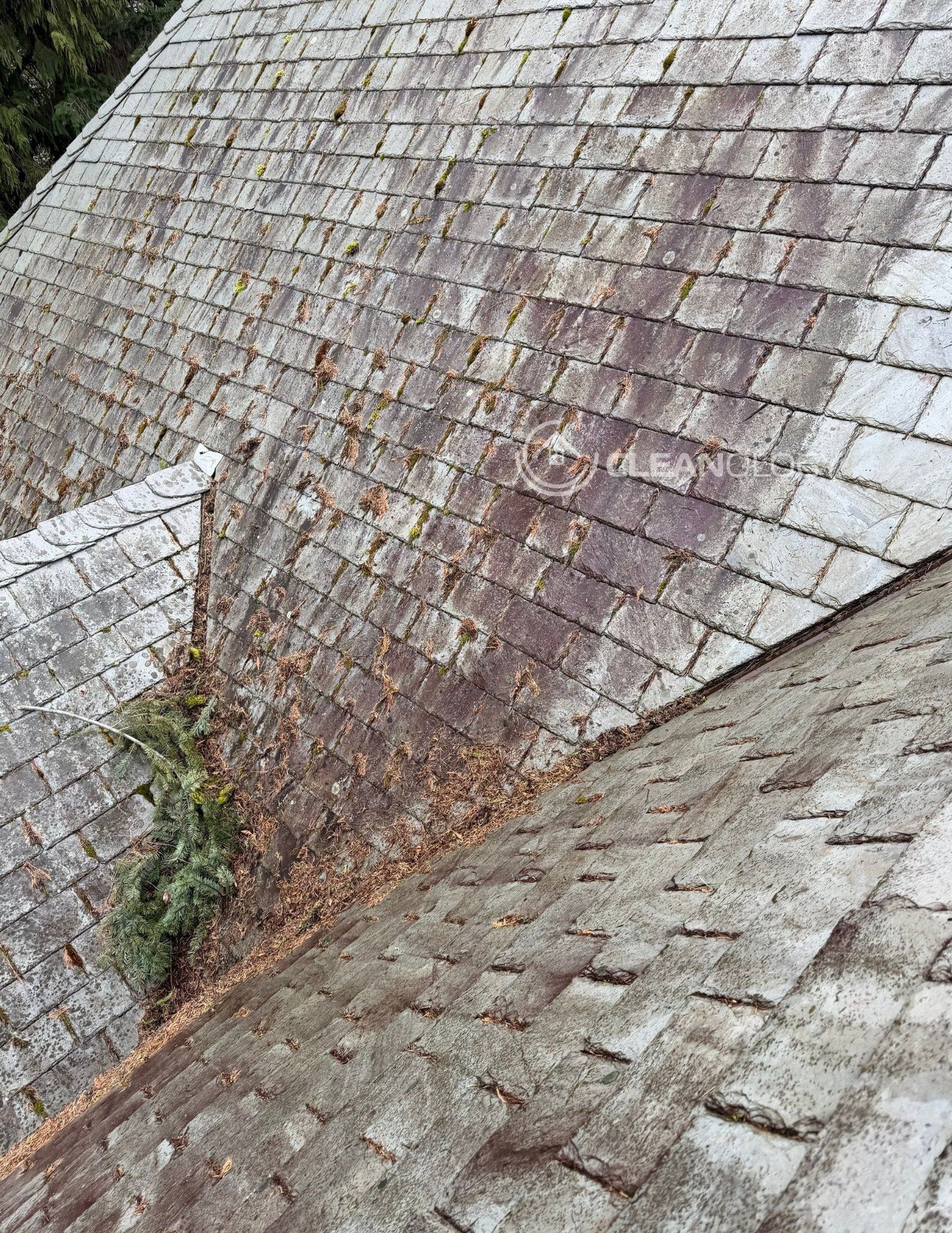 Before – image 17