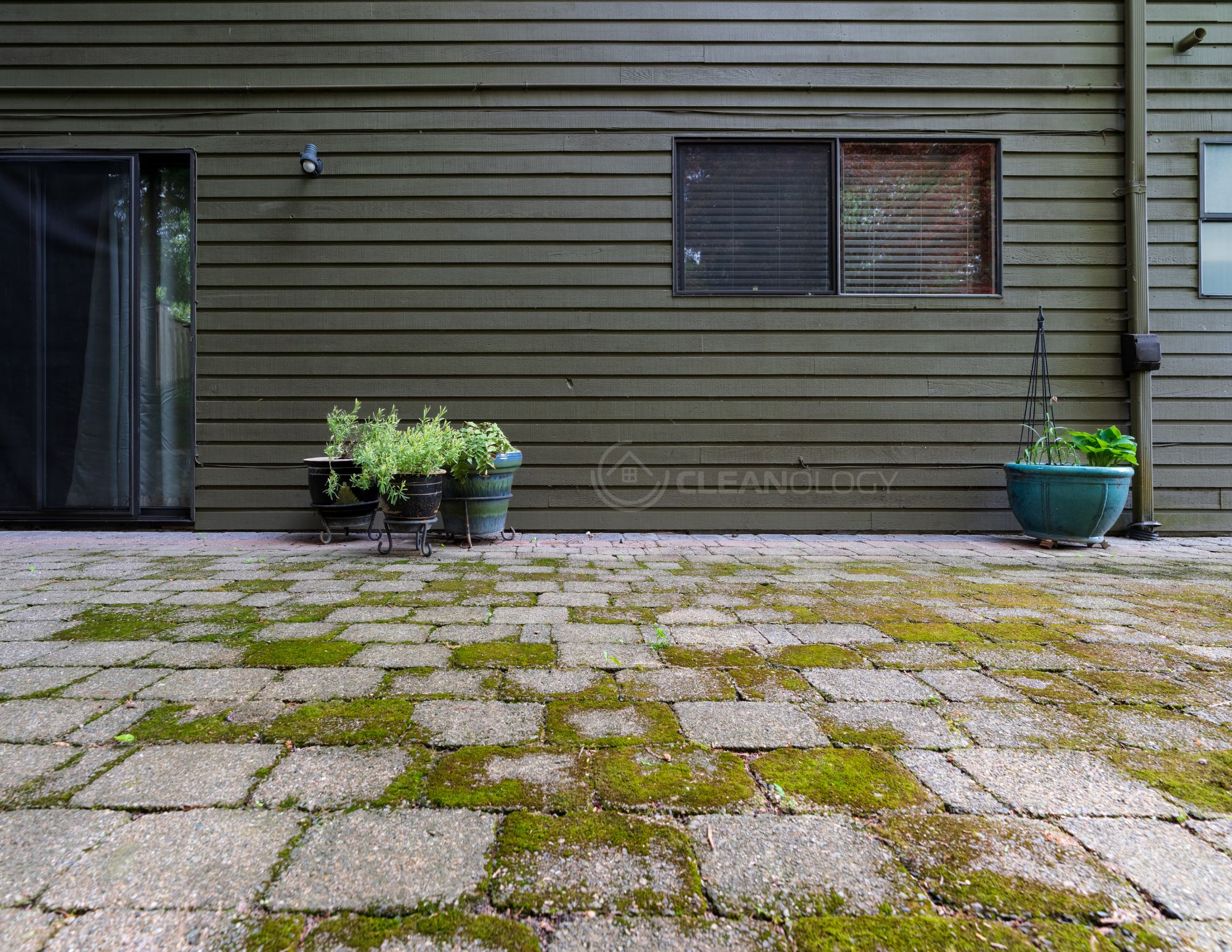 Before - After Pictures – image 13