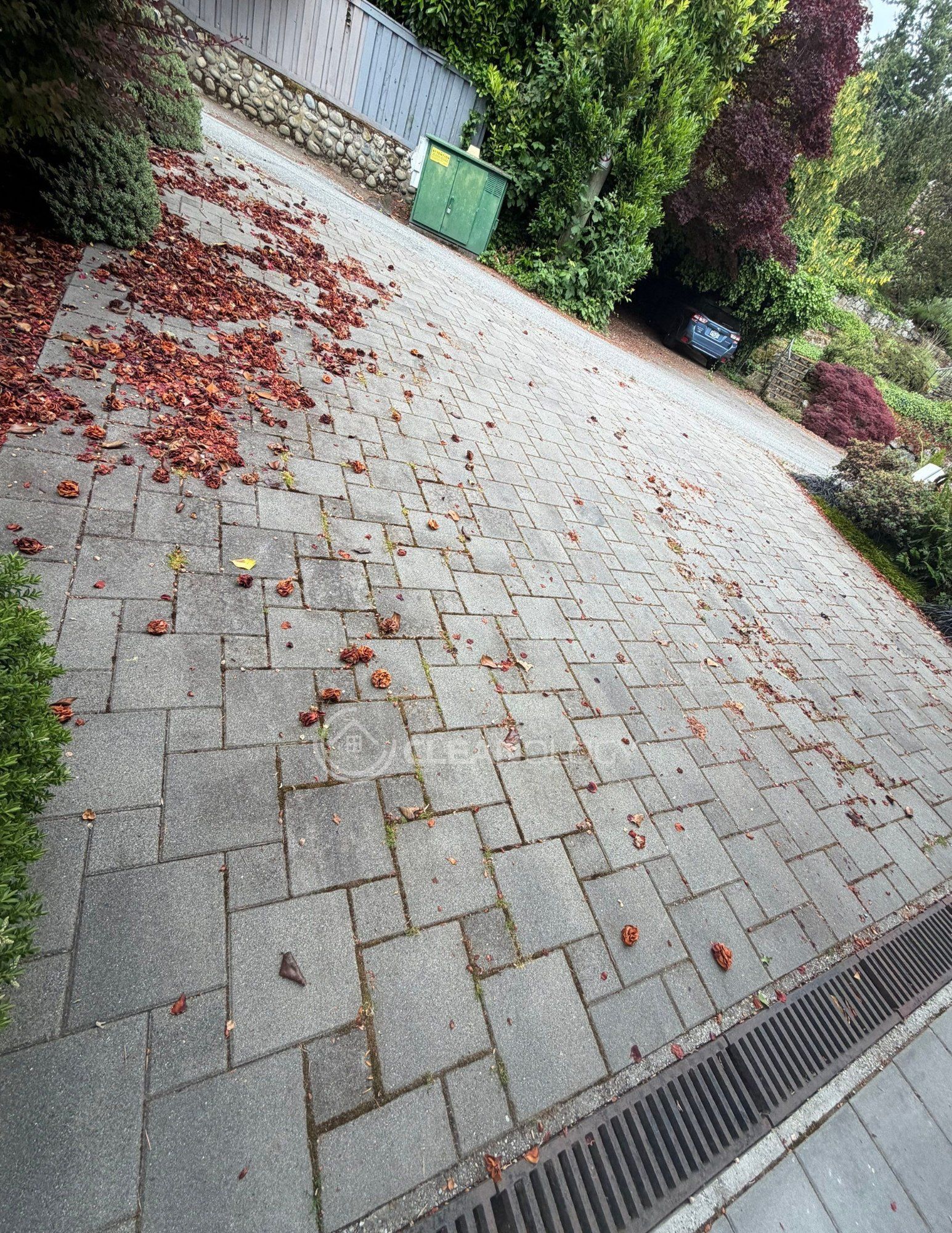 Before - After Pictures – image 23