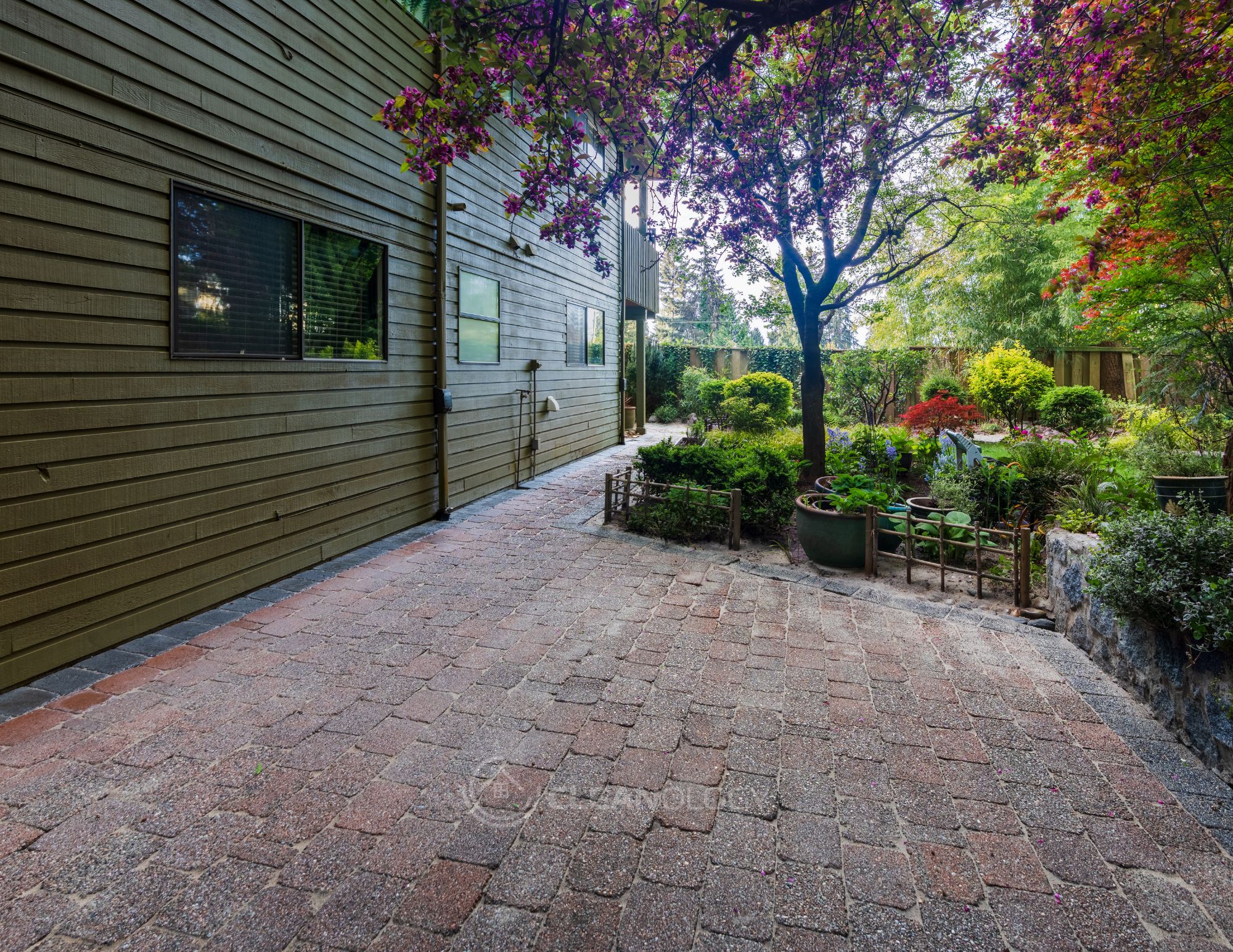 Before - After Pictures – image 6