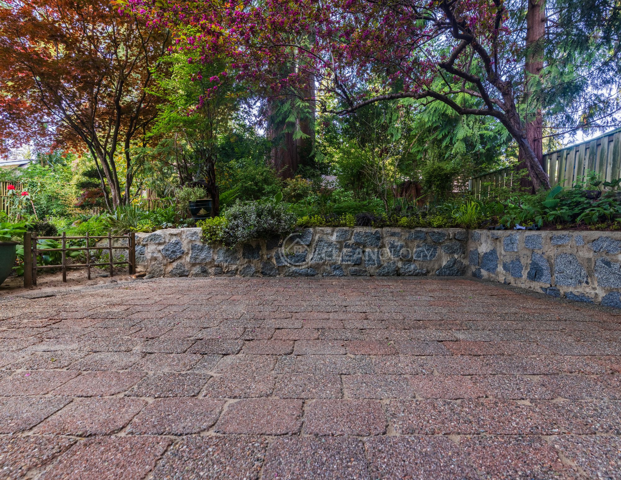 Before - After Pictures – image 12