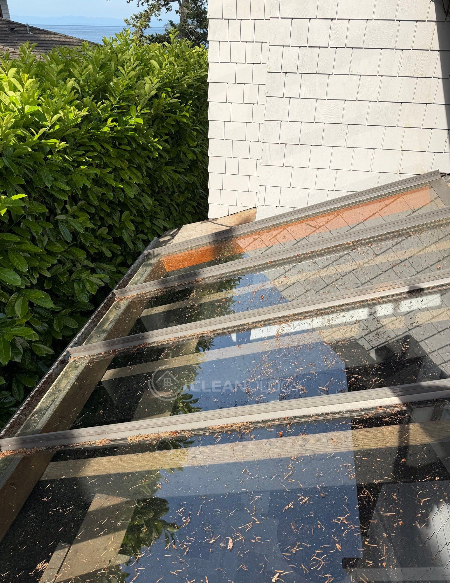 Before - After Pictures – image 11