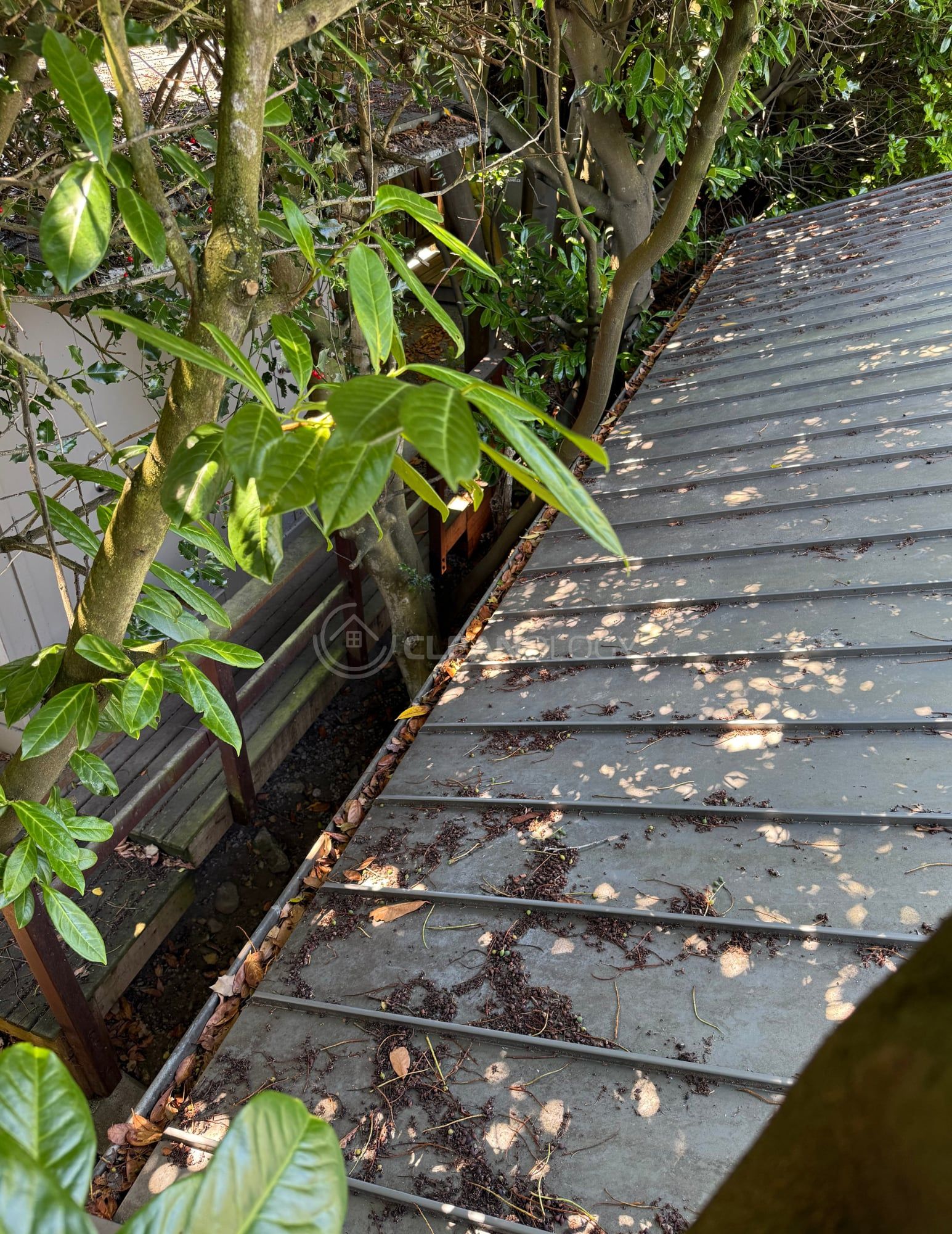 Before Pictures – image 24