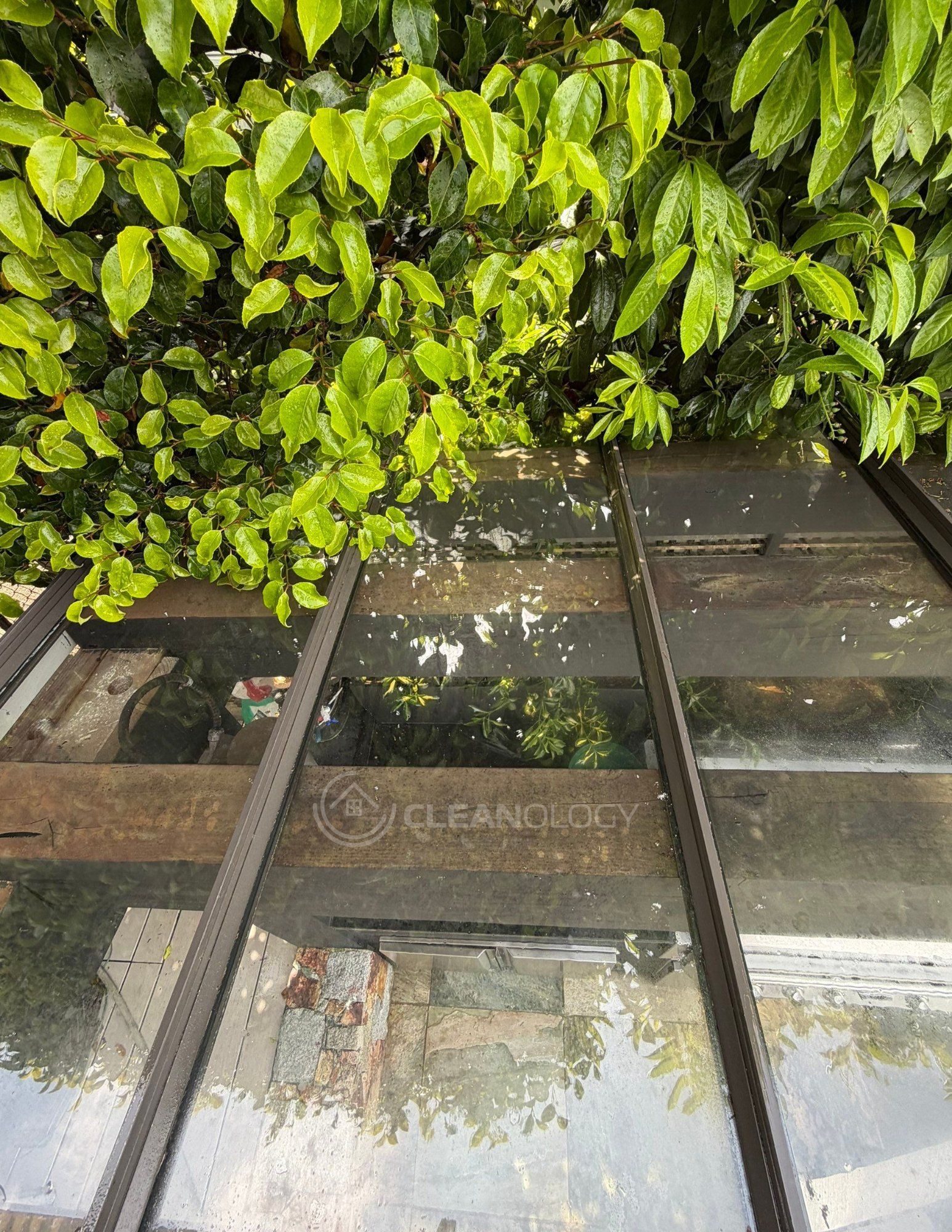 Before - After Pictures – image 10